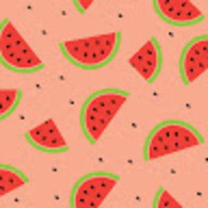 Meet your Posher, Lorelai